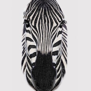 It&#39;s a Crayola World Zebra head fabric panel from Riley Blake Designs