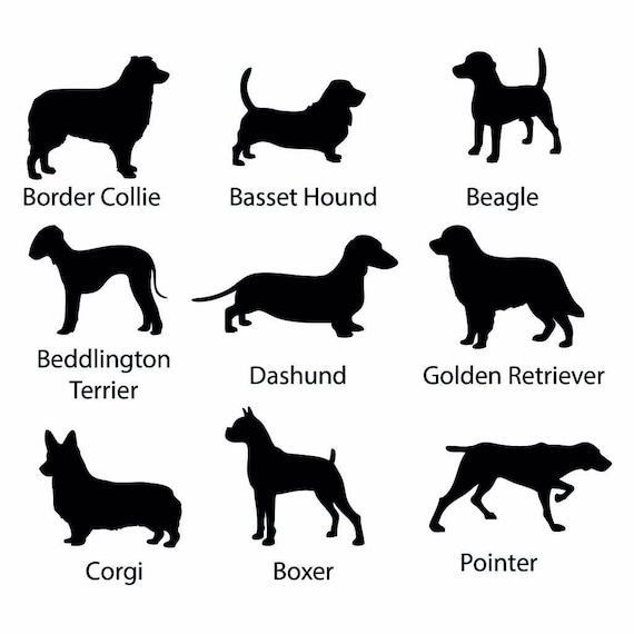 Personalised Dog Lover Gift Dog Door Mat Ideal Birthday Etsy