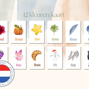 DUTCH 12 kaarten van kleuren | Nederlands | Kleuter | Kleuren lernen | Sofort Download | Regenboog | Druck zu Hause