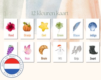DUTCH 12 kaarten van kleuren | Nederlands | Kleuter | Kleuren leren | Instant Download | Regenboog | Print at home