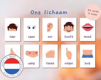DUTCH 24 kaarten van ons lichaam | Nederlands | Lichaam | Thuis leren | Instant Download | Regenboog | Print at home