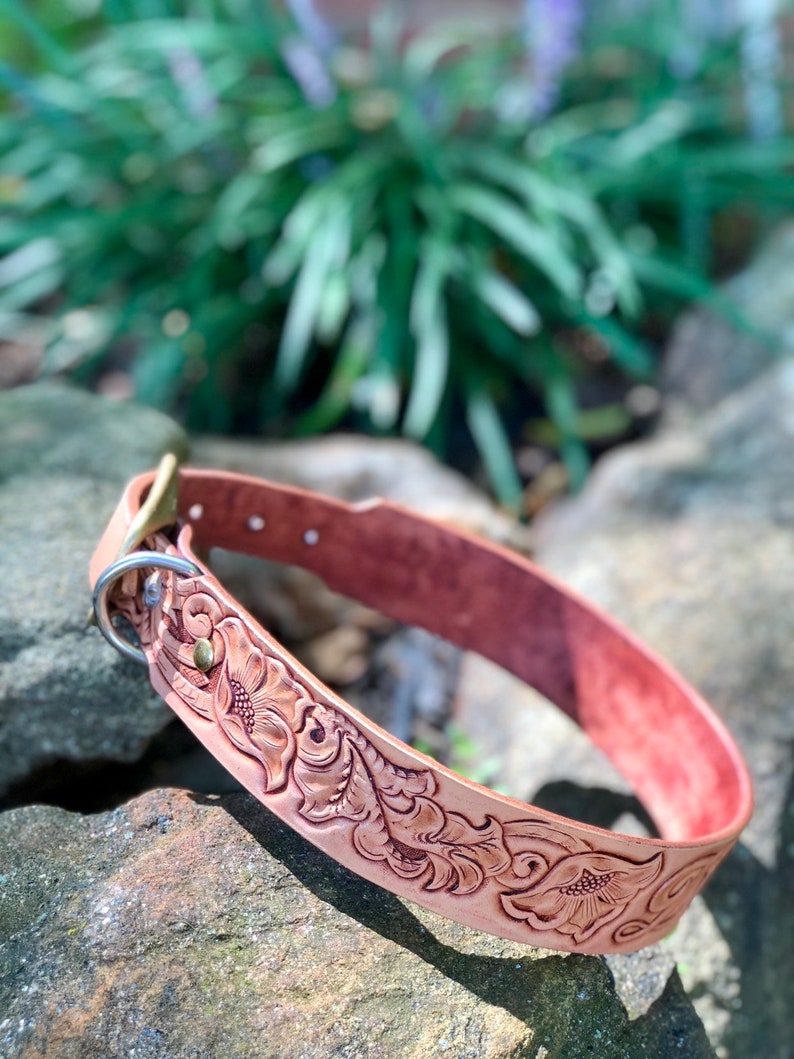 Leather dog collar Etsy