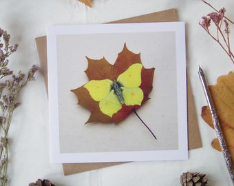 Brimstone Butterfly on a Sycamore Leaf Greetings Card, Blank Fine Art Card, Pressed Leaf Nature Painting