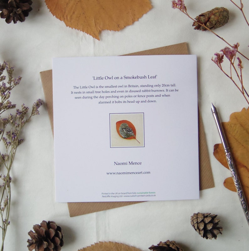 Little Owl on a Smokebush Leaf Greetings Card, Blank Fine Art Card, Pressed Leaf Nature Painting image 2