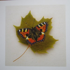 Tortoiseshell Butterfly on a Sycamore Leaf Greetings Card, Pressed Leaf Nature Painting. Blank Fine Art Card. Biodegradable Wrapping. image 3