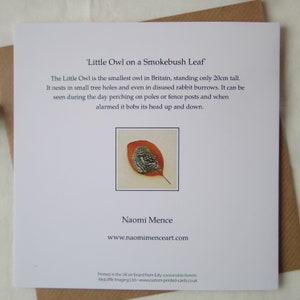 Little Owl on a Smokebush Leaf Greetings Card, Blank Fine Art Card, Pressed Leaf Nature Painting image 4