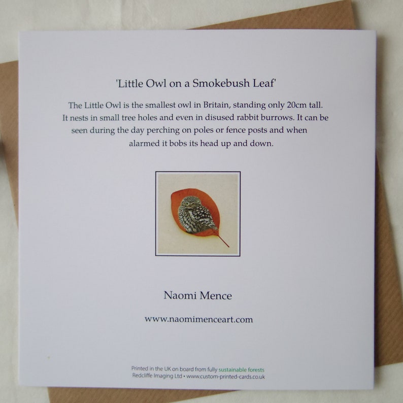 Little Owl on a Smokebush Leaf Greetings Card, Blank Fine Art Card, Pressed Leaf Nature Painting image 4