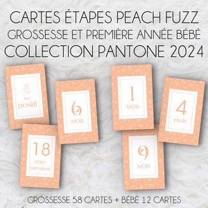 Zwangerschap en baby's eerste jaar mijlpaalkaarten - "Mijn zwangerschap" en "Mijn eerste jaar" - Pantone Peach Fuzz Collection