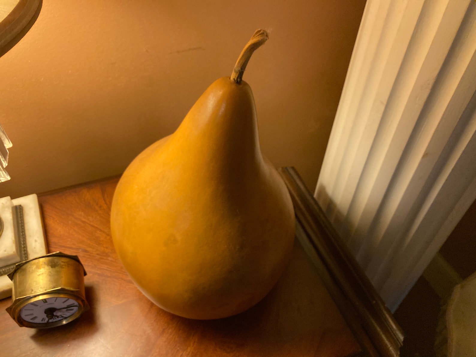 Large pear shaped gourd Etsy