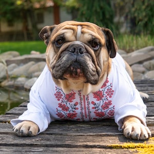 Ukrainian embroidered shirt for Bulldog Vyshyvanka Clothes for dogs Embroidery for the dog shirt for English Bulldog Gift for Him Christmas