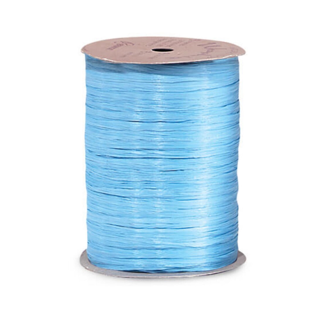Matte Raffia Ribbon - WILLIAMSBURG BLUE - Etsy