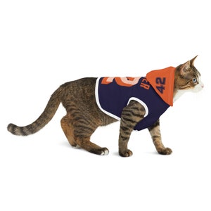WNBA Phoenix Mercury / Phoenix Mercury Shirt / WNBA Shirt / Diana Taurasi / Women&#39;s Basketball / Brittney Griner / Mercury Pet Sweater