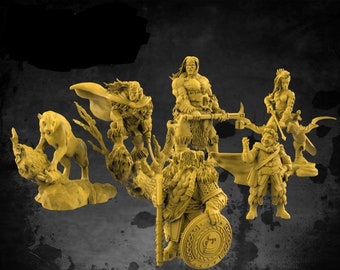 Heroes of the Dale miniatures