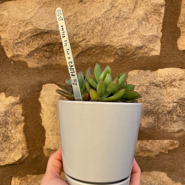 Plant marker / succulent garden or planter marker / sarcastic plant