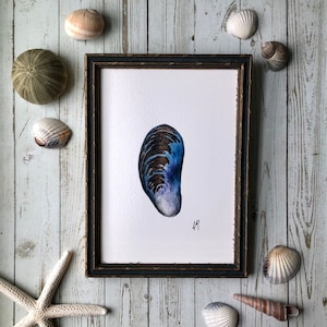 Blue Mussel Art Print: Coastal Watercolor Painting (5x7 Unframed)