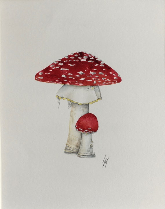 Original Watercolor Mushroom Painting Red And White Etsy