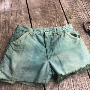 Vintage Shorts, Dyed Green, Madewell, Size 28 Waist