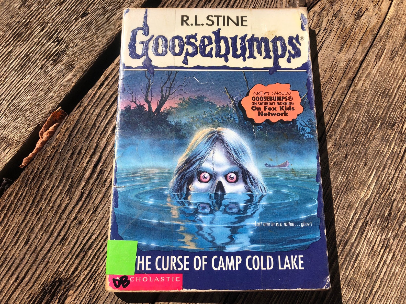 Libros de los años 90 Goosebumps R.L. Stine Don't Go in Etsy