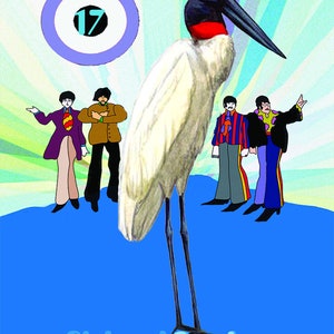 May include: A cartoon illustration of four people standing in front of a large white bird with a long black beak. The bird is standing on a blue surface. The text "Richard Storky" is written below the bird. The number "17" is inside a blue circle in the upper left corner of the image.
