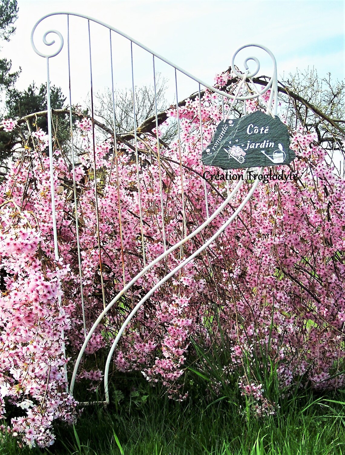 Short Chino Homme 100% Coton - Taille 30 - Coupe Slim Décontractée - Été