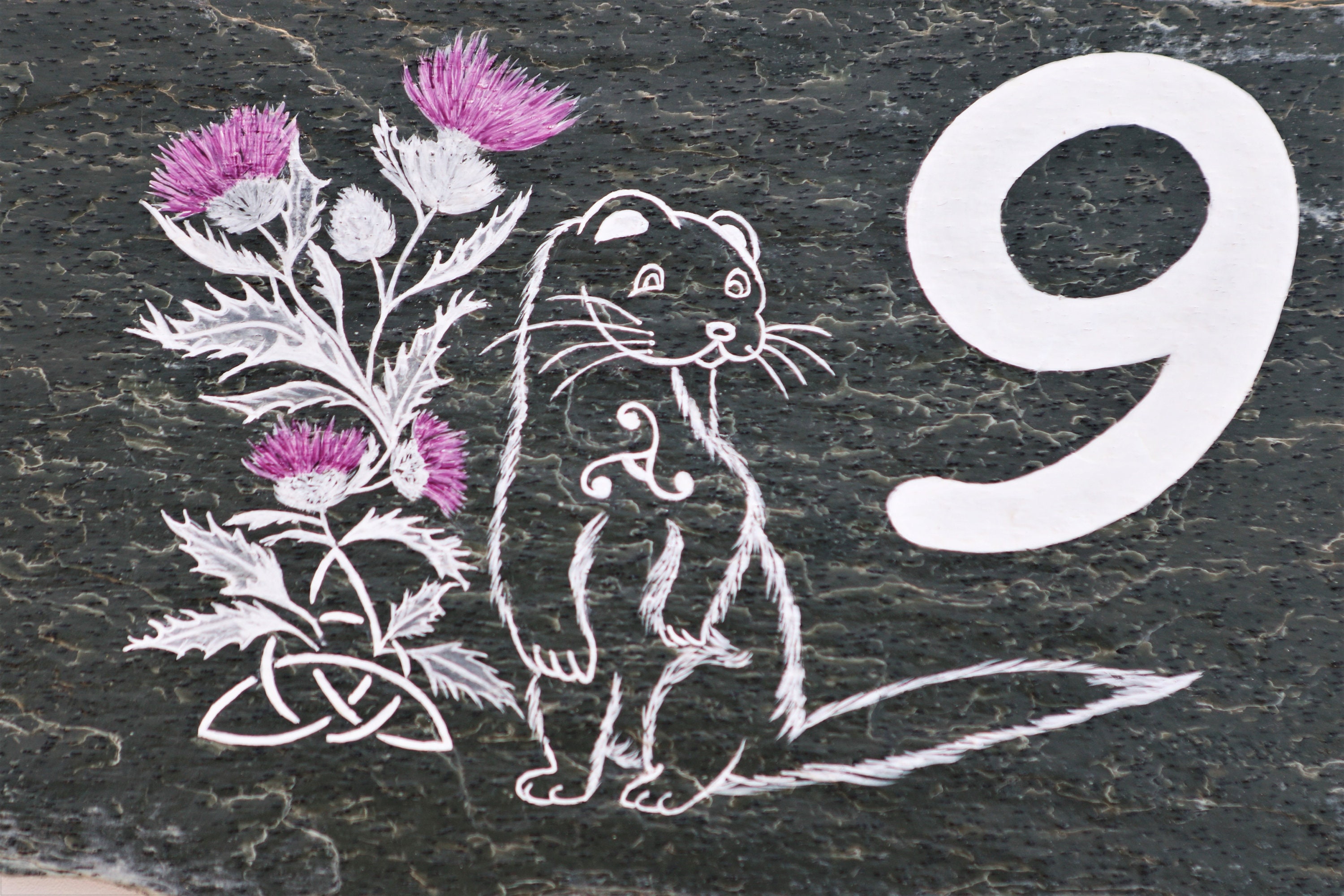 Gourde Sport Enfant 620 Ml Twist Sip - Étanche, Sans BPA, Pour école Et Gym | Couleurs Assorties