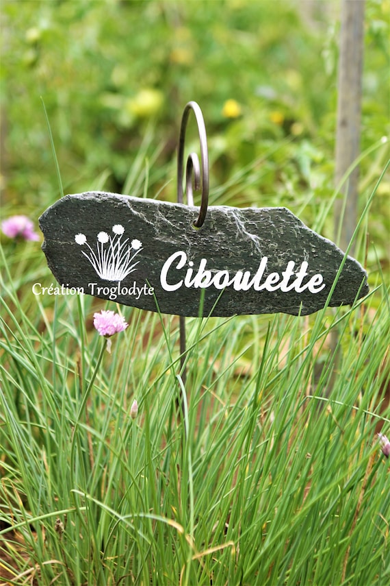 10 Pièces Étiquettes Potager Ardoise Avec Piquets - Marque-Plantes En Bois Et Acier Inoxydable Pour Jardin Extérieur
