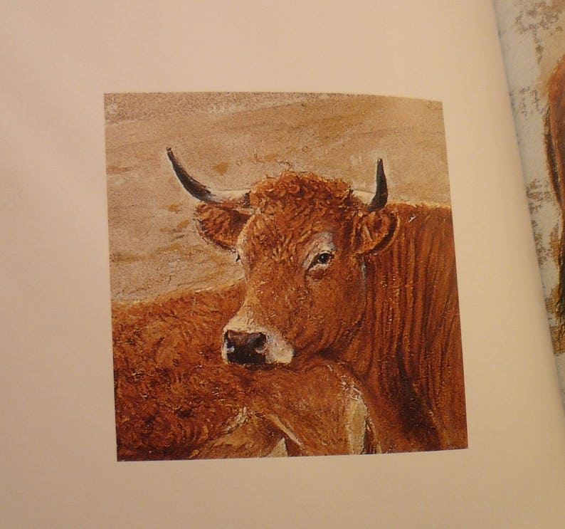 Livre d'occasion sur les vaches En découvrant Bodo Coté Prairies image 3