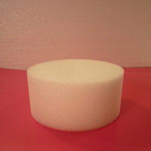 Peut inclure: Un mannequin de gâteau rond en mousse blanche, utilisé pour s'entraîner à la décoration de gâteaux ou pour présenter des gâteaux finis.