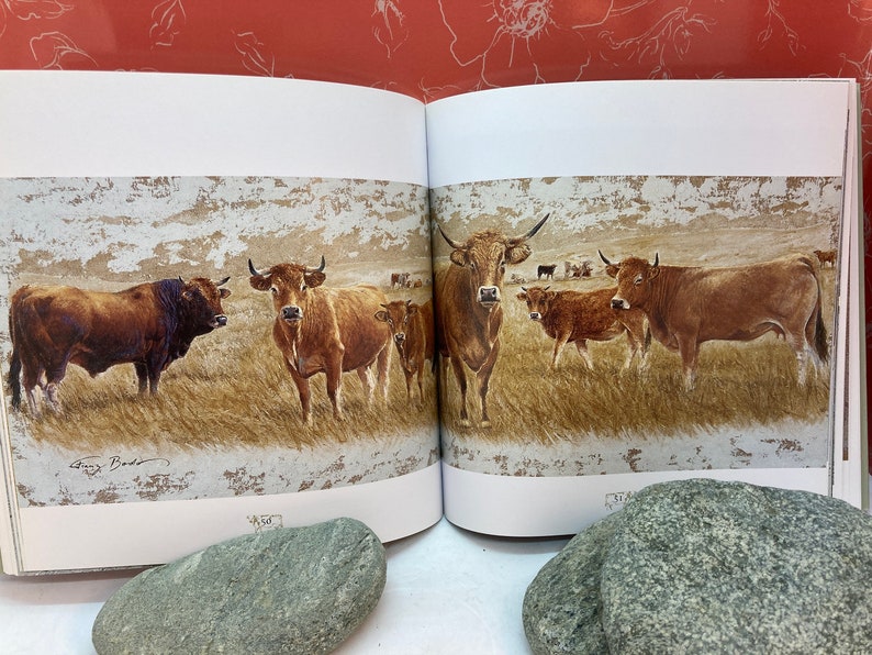 Livre d'occasion sur les vaches En découvrant Bodo Coté Prairies image 6