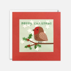 Biglietto di Natale con Robin e Holly e coriandoli di carta - Paper Shakies di James Ellis