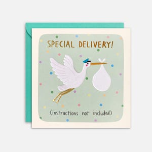Special Delivery New Baby Card by James Ellis