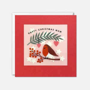 Cartão de Natal da mamãe Robin com confete de papel - Paper Shakies por James Ellis