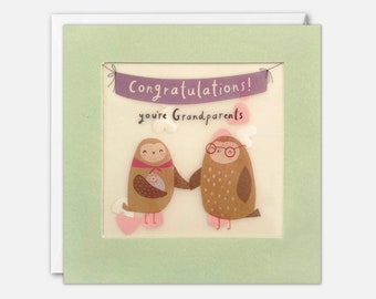 Owl Grandparents New Baby Card with Paper Confetti - Paper Shakies by James Ellis