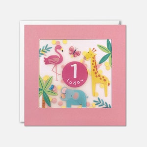 Cartão de aniversário de 1 ano da Pink Jungle com confete de papel - Paper Shakies por James Ellis