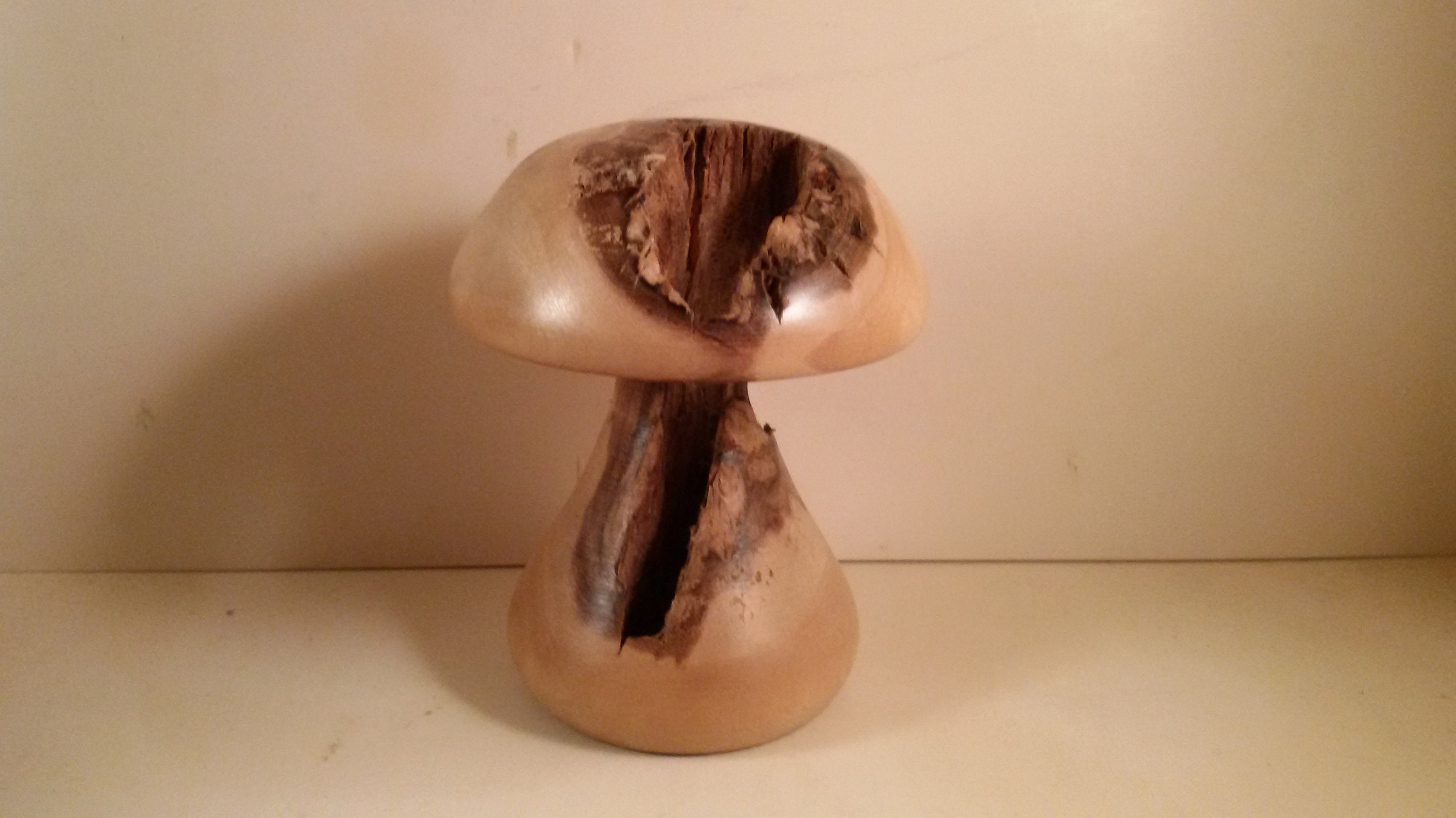 Champignon en Bois Chboul1
