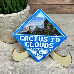 Cactus to Clouds Vinyl Sticker (2.5in, Waterproof, Weatherproof)