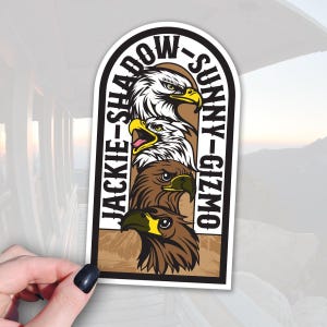 Bald Eagle Vinyl Sticker: Big Bear Wildlife (Waterproof, 4in)