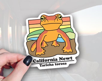 California Newt Sticker: Waterproof Vinyl Decal for Laptop or Water Bottle