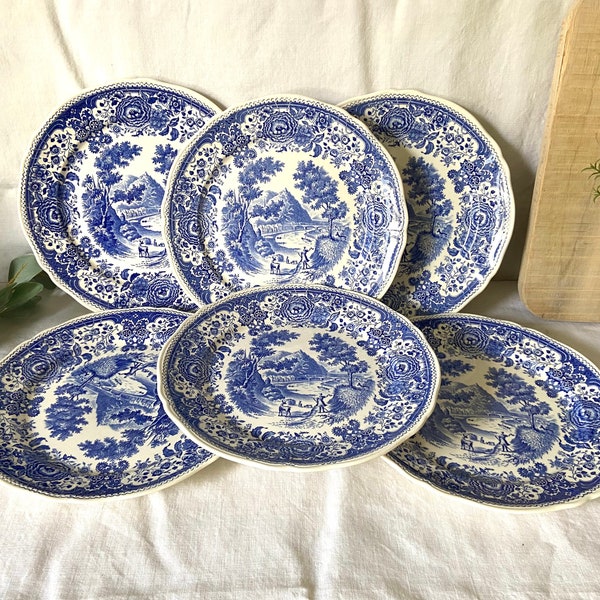 6 Villeroy and Boch blue Burgenland model plates. Old plate Villeroy and Boch.