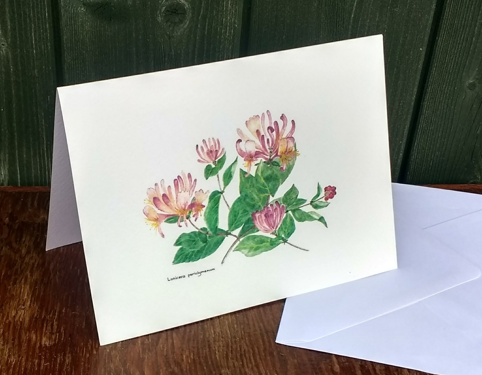 Blank Greetings Card From Our Own Original Watercolour Painting of