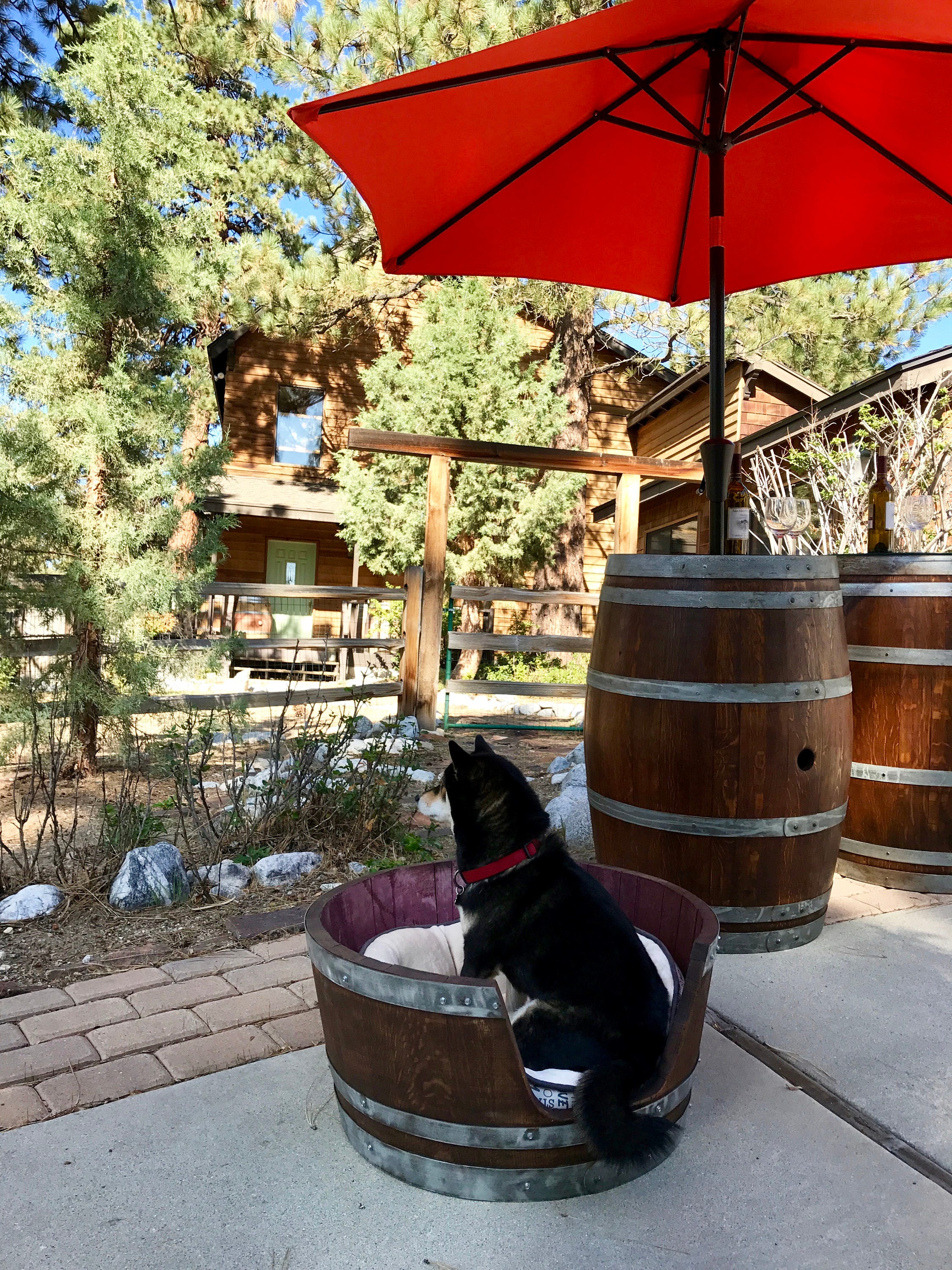 Wine Barrel Dog Bed Etsy