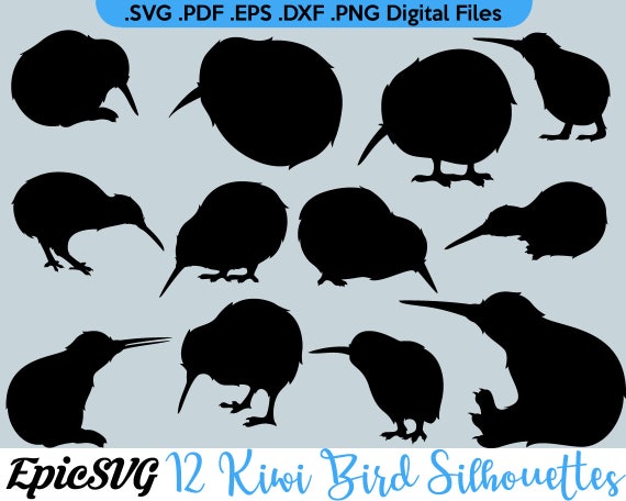 12 Cute Kiwi Bird Silhouettes Svg Pdf Dxf Eps Png Etsy