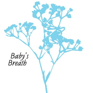 Gypsophile sticker .svg file pour vinyl