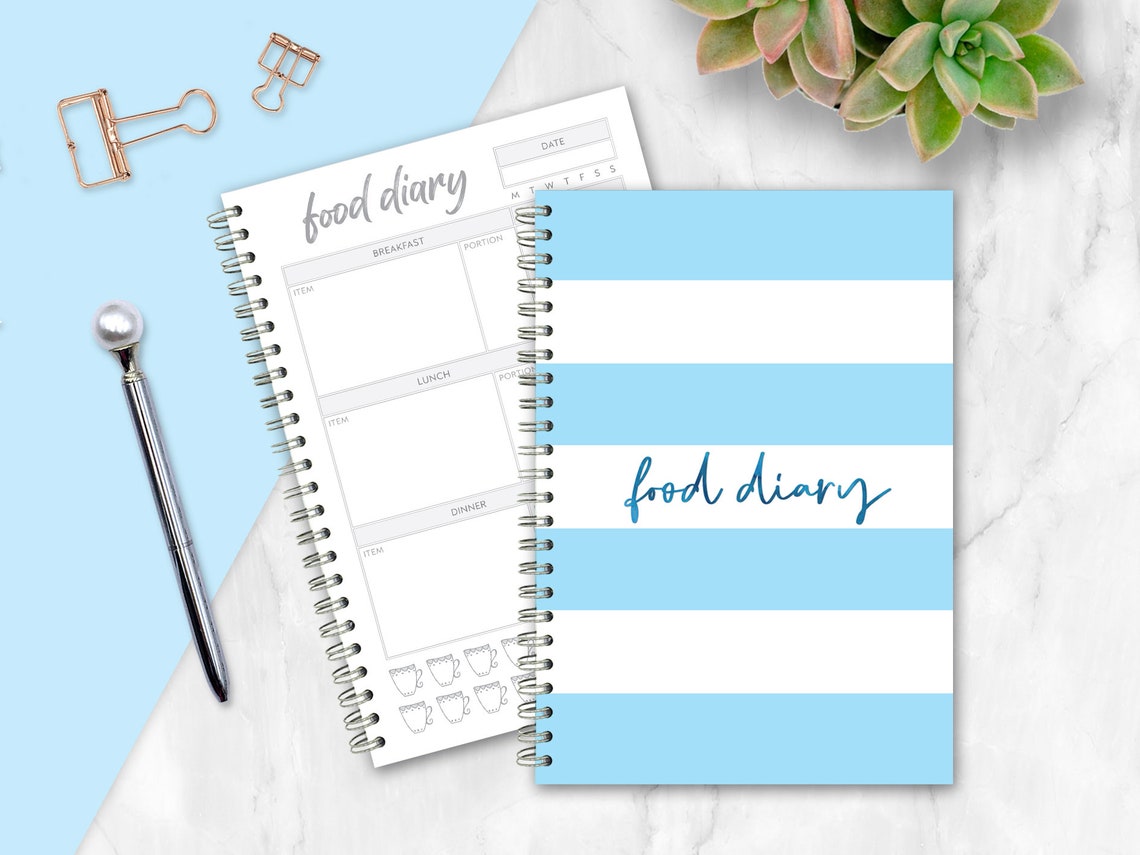 WEIGHT GAIN Food Diary Blue Stripe Etsy