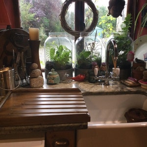 May include: A kitchen sink with a wooden cutting board and a variety of plants in glass jars. The sink is white and has a chrome faucet. The cutting board is brown and has a grooved surface. The plants are green and leafy.
