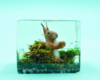 Squirrel in the forest dried moss plantlets miniature squirrel Blythe accessory paperweight decoration