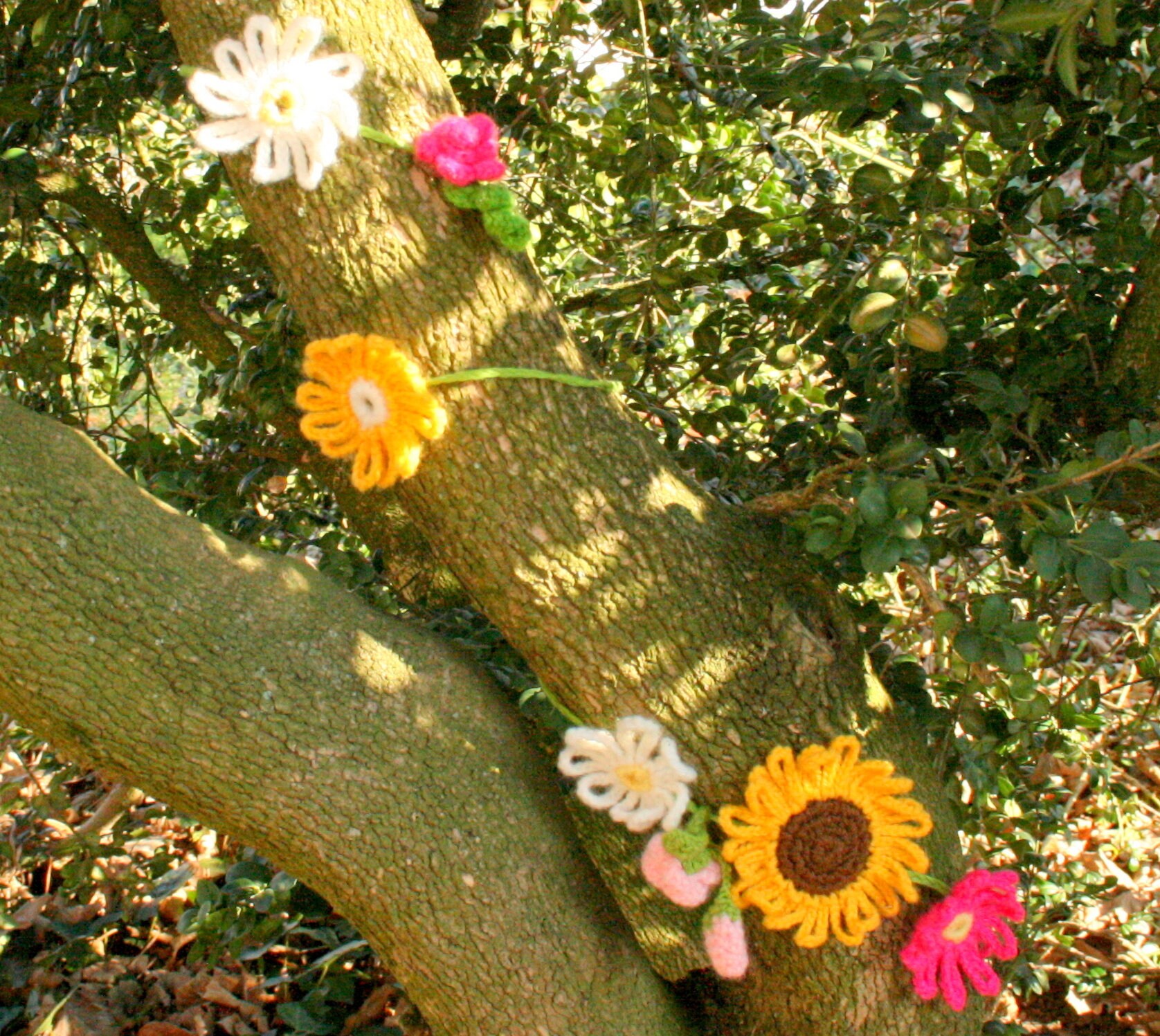 Fleurs Au Crochet Lot de 5