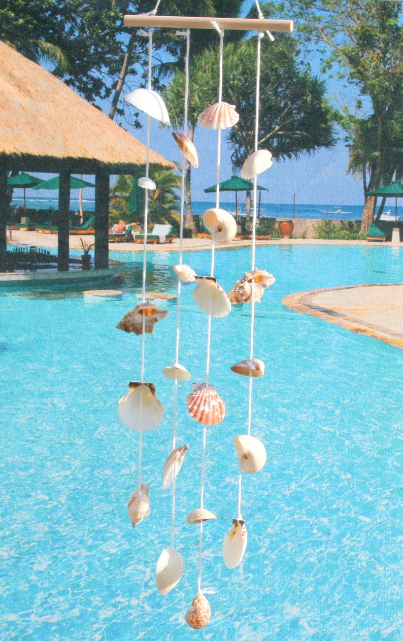 Suspended Shell Hanging Shells in Wood - Etsy