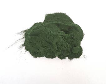 Triops Spirulina Aufzuchtfutter Urzeutkrebse Futter