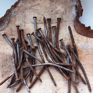 May include: A pile of rusty nails with flat heads, arranged on a light brown wooden surface. The nails display varying degrees of rust and oxidation, with a mix of silver and brown hues, suggesting age and use.